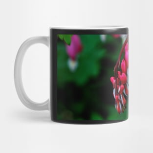 Lamprocapnos Spectabilis Mug